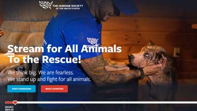 Stream for All Animals: To the Rescue hopes to raise money for Humane Society