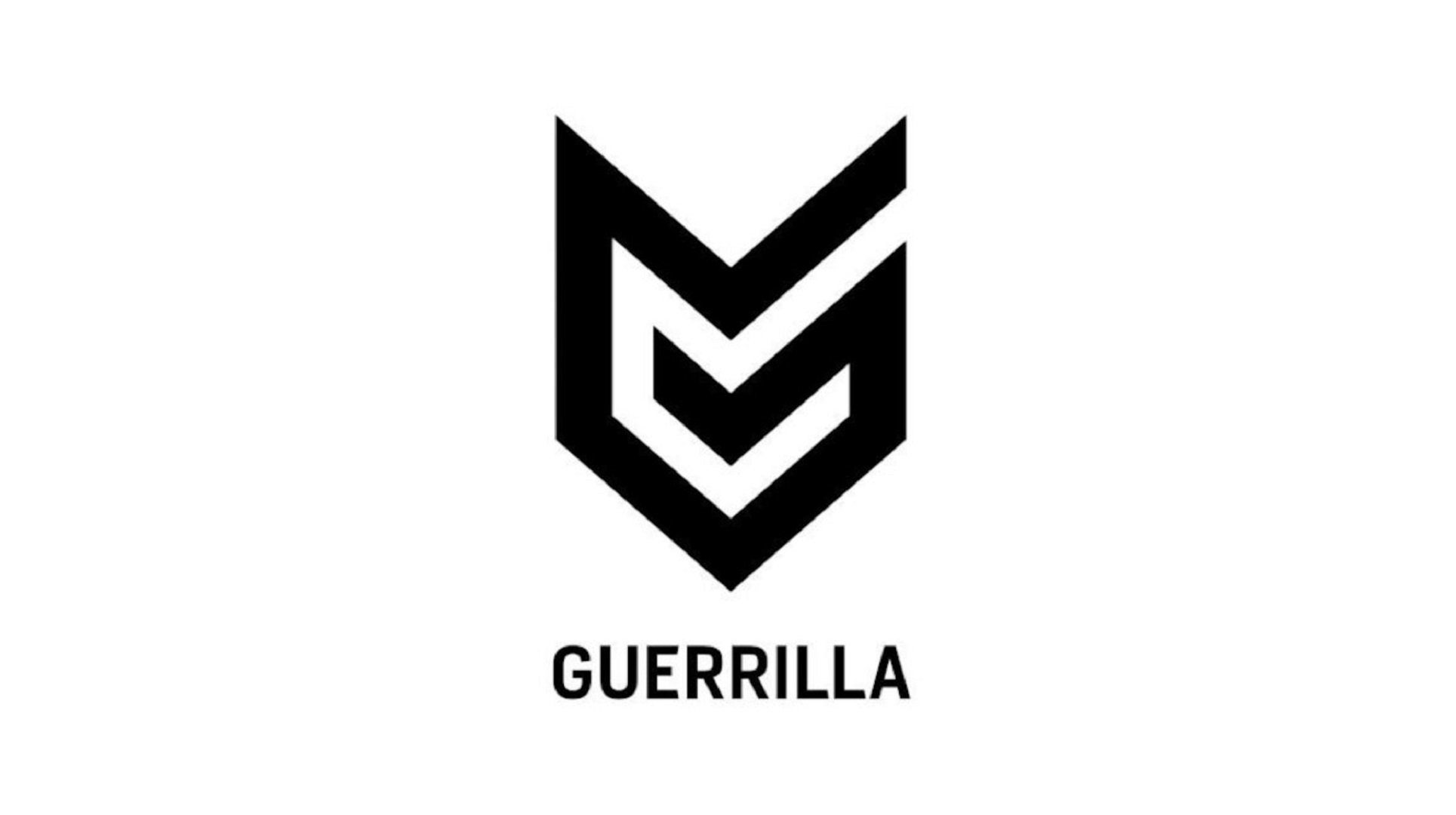 Guerrilla Games server shutdown