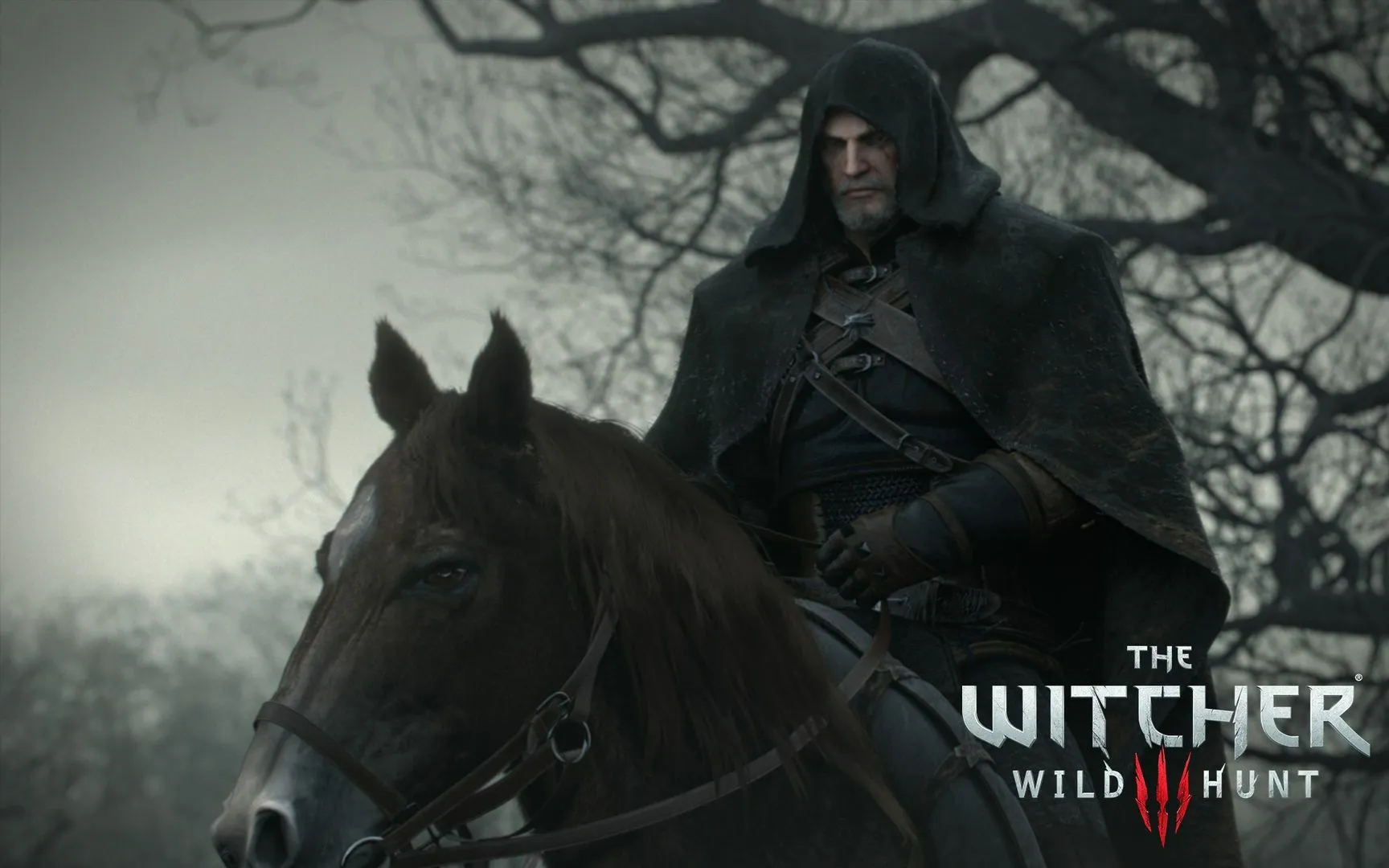 The Witcher 3 Wild Hunt The Witcher Goodies Collection