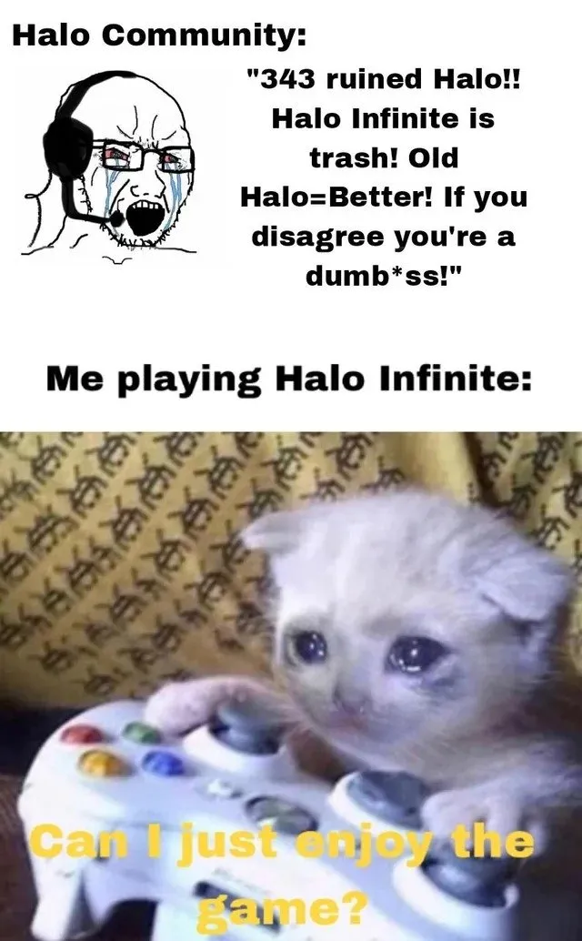 Best Halo Infinite Memes on Reddit